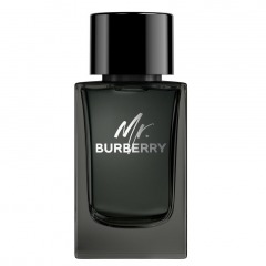 BURBERRY Mr. Burberry Eau de Parfum 150